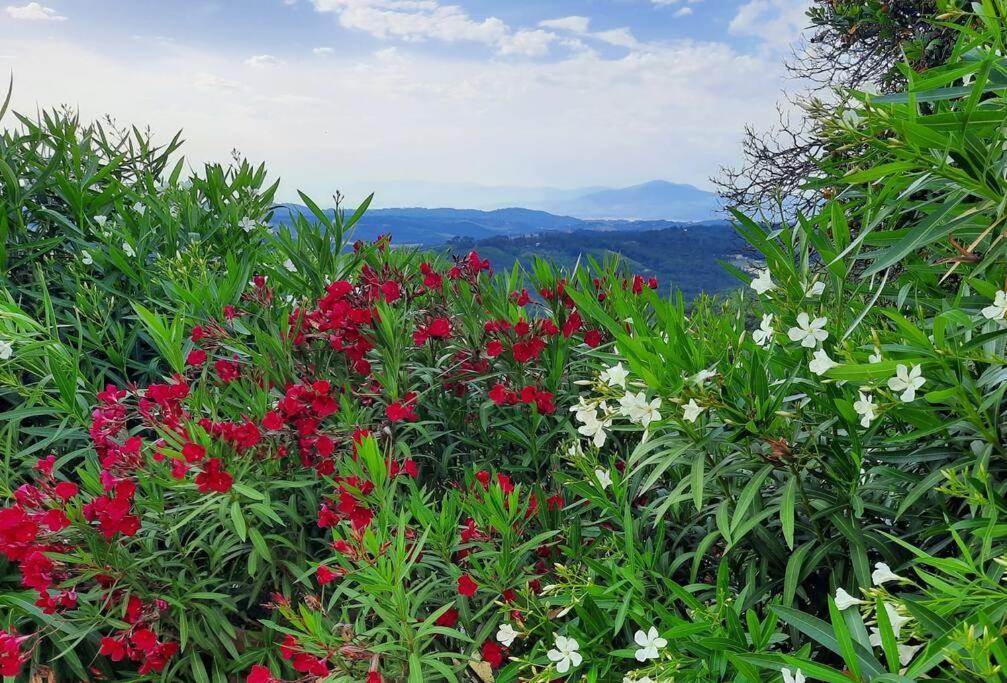 Villa Tutti I Colori Del Chianti Linari Exterior foto
